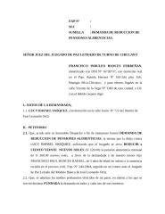 DEMANDA DE REDUCCION DE PENSIONES ALIMENTICIAS.doc