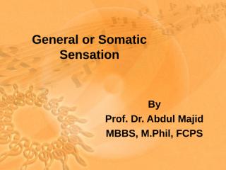 C48 General or Somatic Sensation-1.ppt