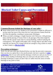 Blocked Toilet Causes and Prevention Tips.pdf