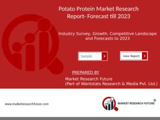 Potato protein Market.pptx